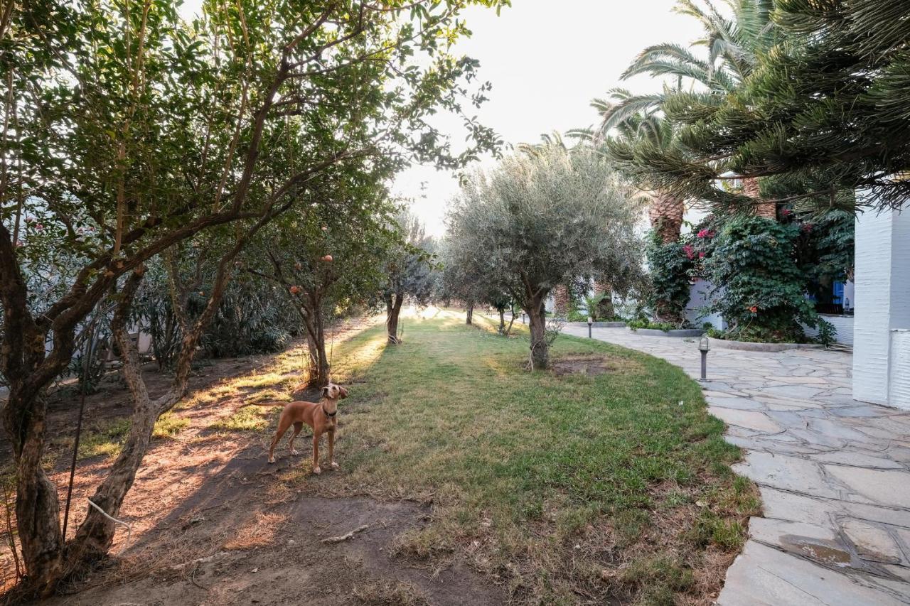 Golden Beach Studios & Suites Tinos Exterior foto