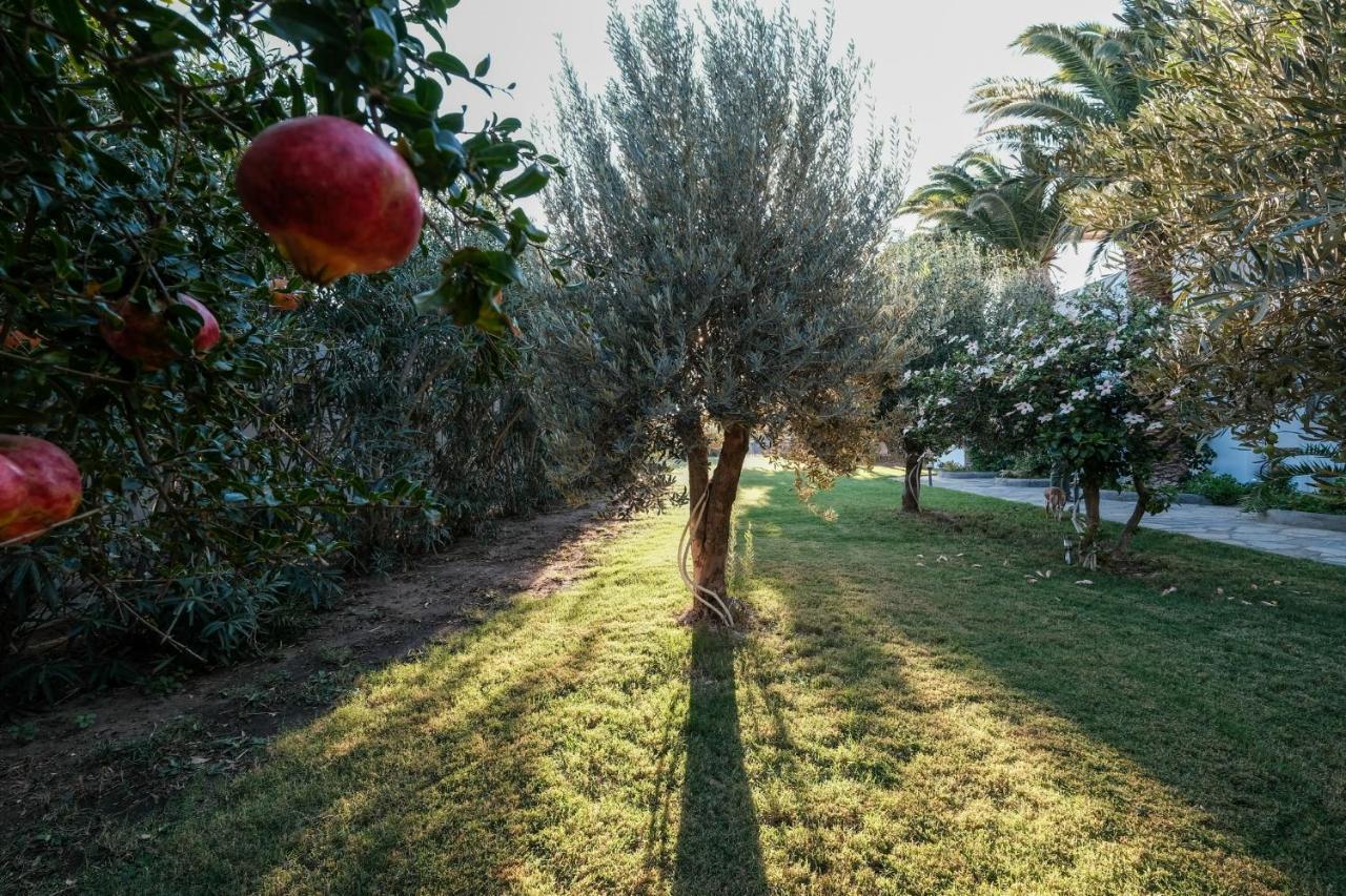 Golden Beach Studios & Suites Tinos Exterior foto