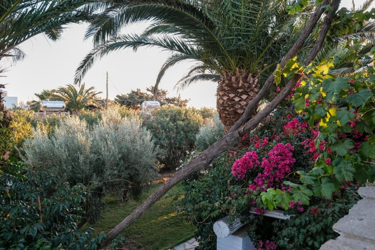 Golden Beach Studios & Suites Tinos Exterior foto
