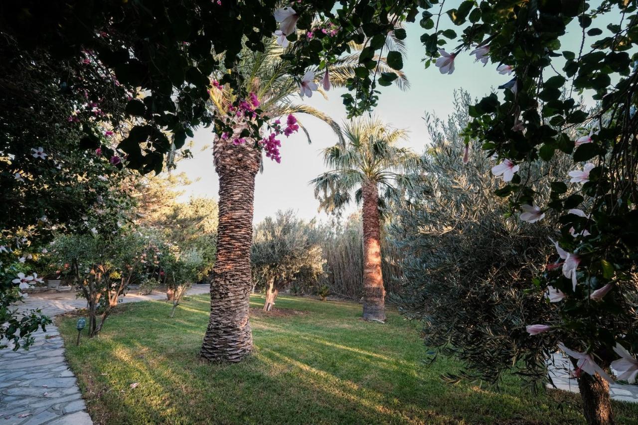Golden Beach Studios & Suites Tinos Exterior foto